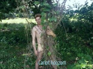 Carlot_hdozom