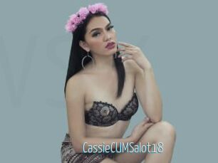 CassieCUMSalot18