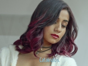 Catalinafox