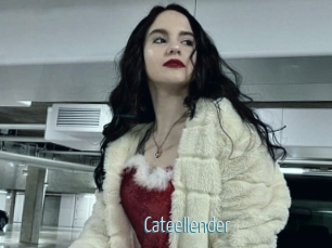 Cateellender