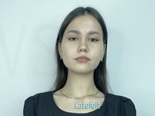 Catefelt