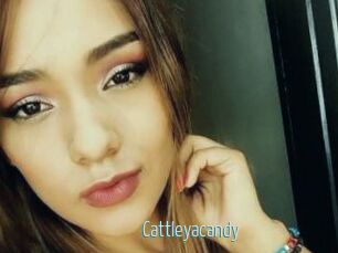 Cattleyacandy