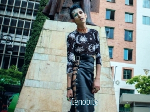 Cenobite