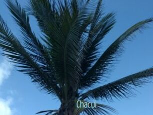 Chacul