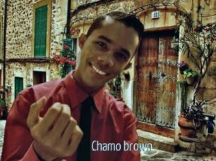 Chamo_brown