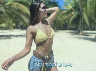 Charmingcharlie4u