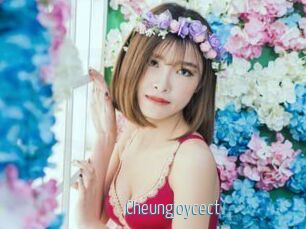 Cheungjoycect