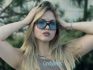 Cindylevis