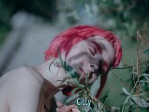 Citty