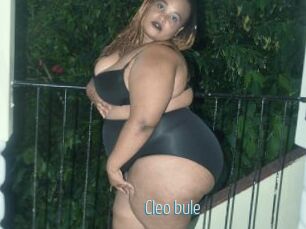 Cleo_bule