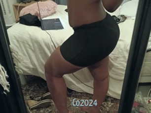 Co2024