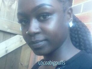 Cocoabigpuffs