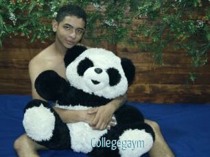 Collegegaym