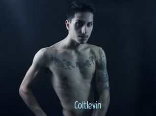 Coltlevin