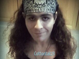Cottontail28