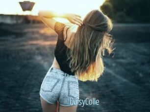 DaisyColle