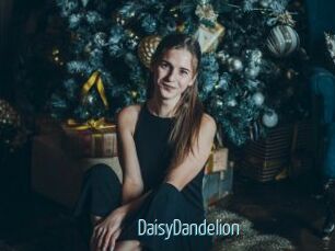 DaisyDandelion