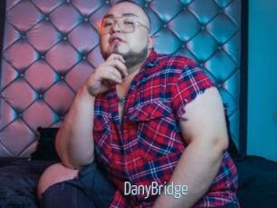DanyBridge