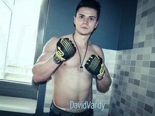 DavidVardy