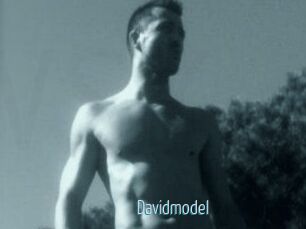 Davidmodel