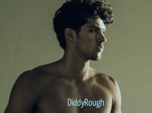 DiddyRough