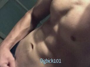 Digbick101