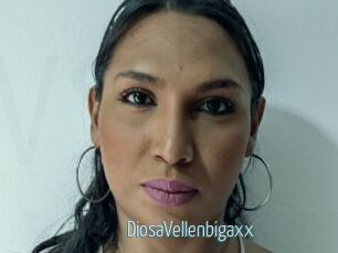 DiosaVellenbigaxx