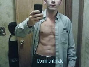 Dominantmale