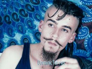 DominicTerrier Video Sexe