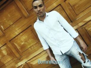 Dominikbunny
