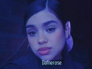 Dafnerose