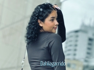 Dahliagarrido