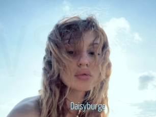 Daisyburge