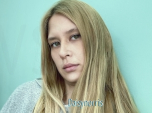 Daisynorris