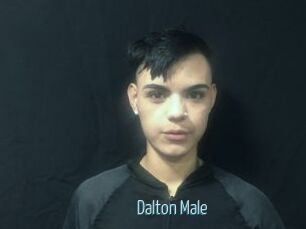 Dalton_Male