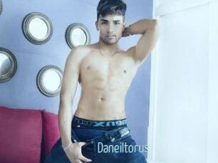 Daneil_torus