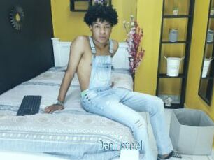 Danii_steel