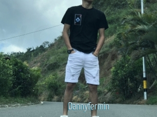 Dannyfermin