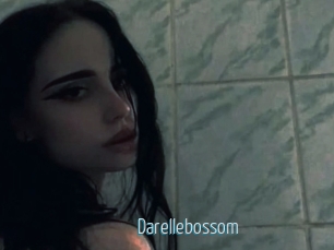 Darellebossom