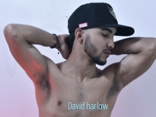 david_harlow Video Sexe