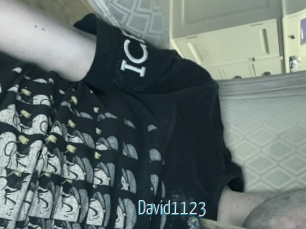 David1123