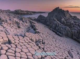 Davidhmodel