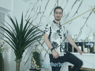 Davidkerber