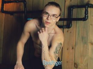 Davidtiger