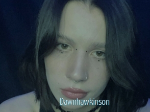 Dawnhawkinson