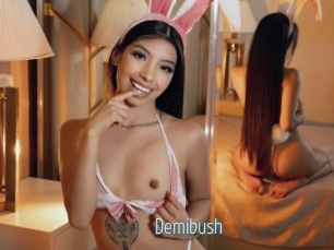demibush Video Sexe
