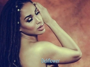 Didiflower