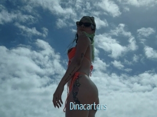 Dinacarters