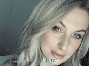 Dinagrom