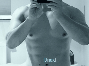 dinoxl Video Sexe